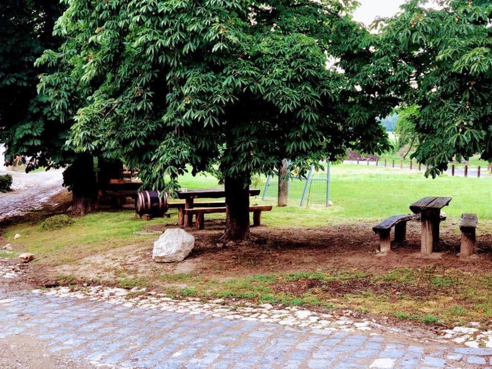 Pouzdrany Apartman Nad Vinnym Sklepom מראה חיצוני תמונה
